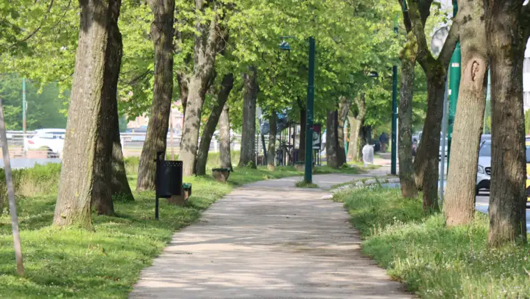 Vilsonovo