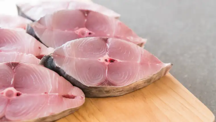 Tuna freepik