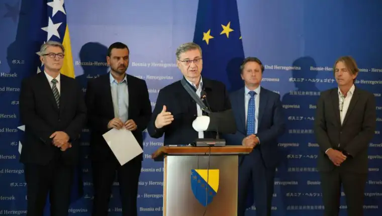 Zvizdic fena