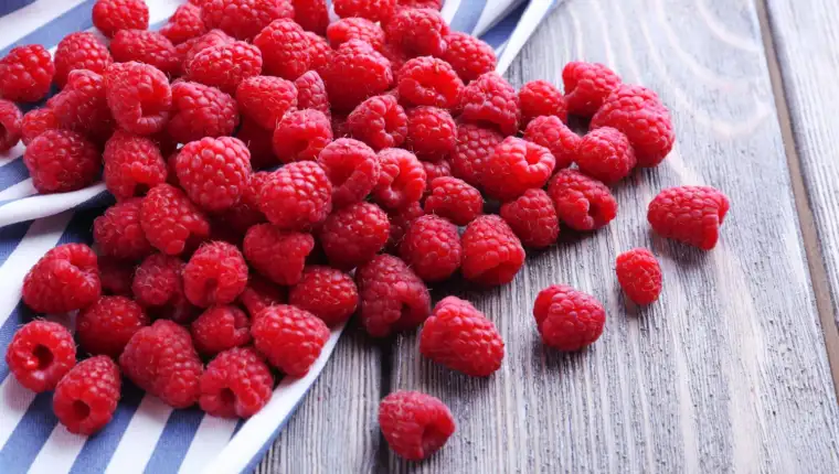 Maline freepik