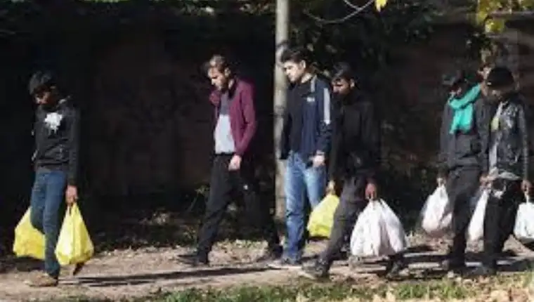 Migranti fena