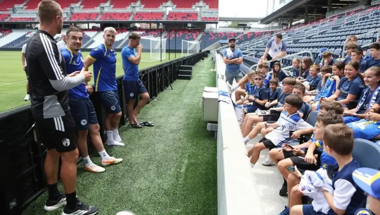 Bih dragons