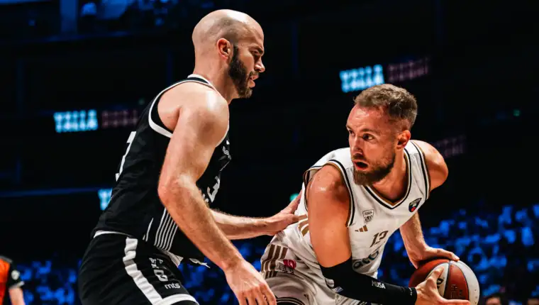 Musa calathes dubai partizan