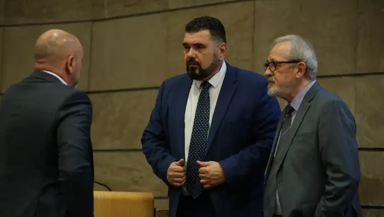 Predstavnicki dom pfbih fena 9