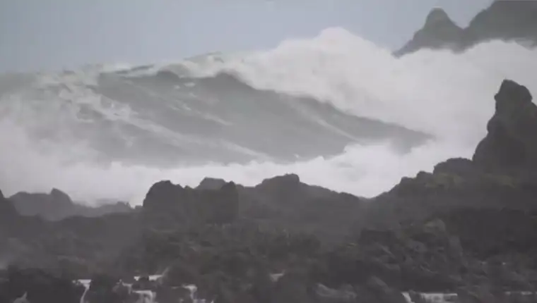Novi zeland talasi