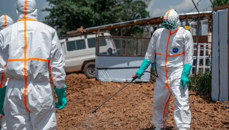 Ebola anadolija