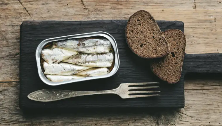 Sardine freepik