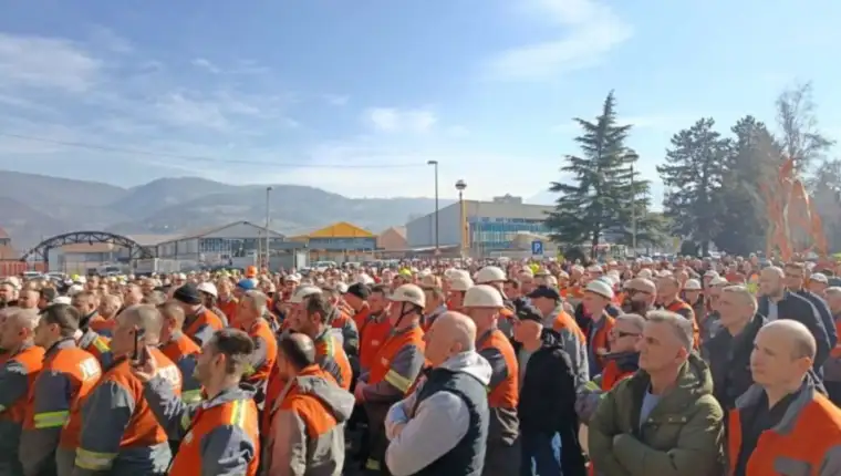 Zeljezara zenica fena