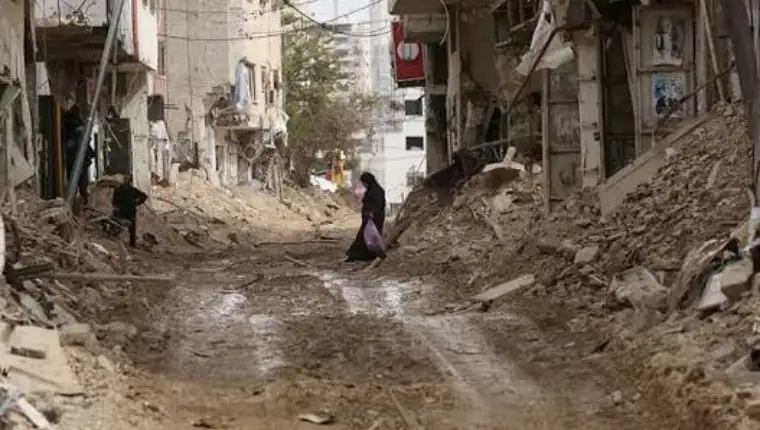 Palestina x