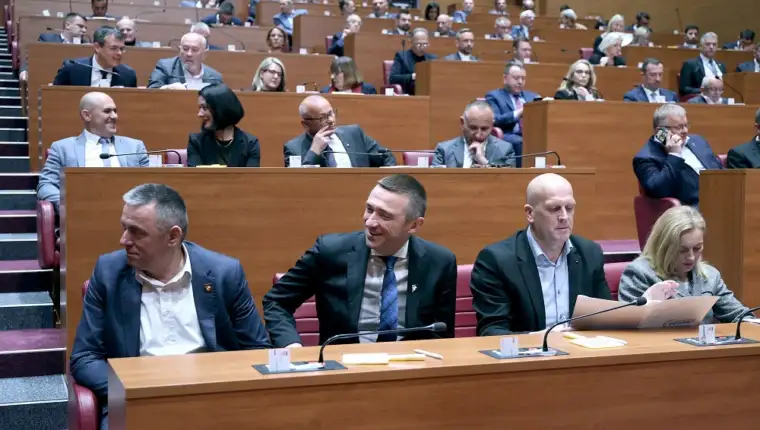 Domovinski pokret pixsell