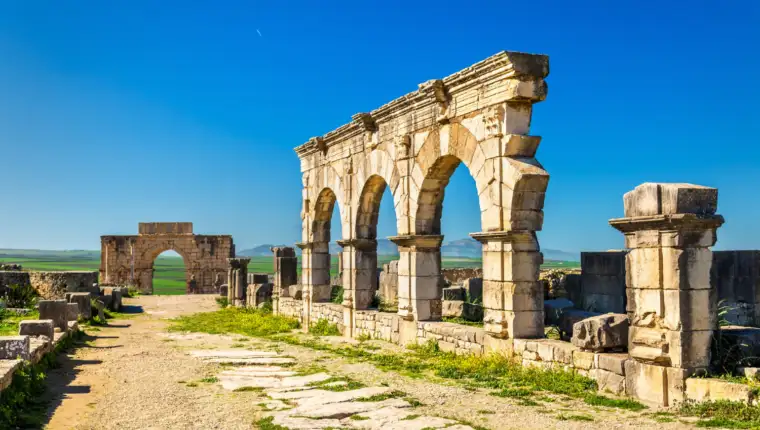 Volubilis freepik