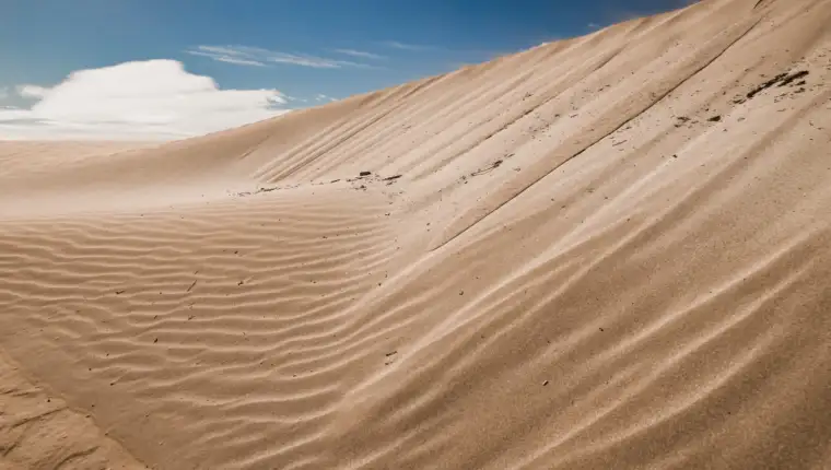 Pustinja freepik