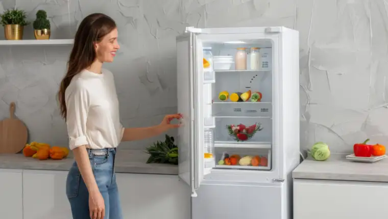 Frizider freepik