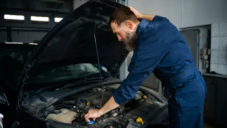 Servis freepik