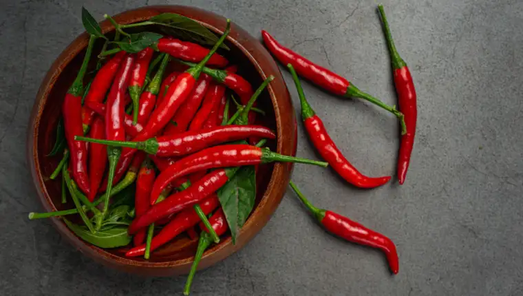 čili paprika freepik