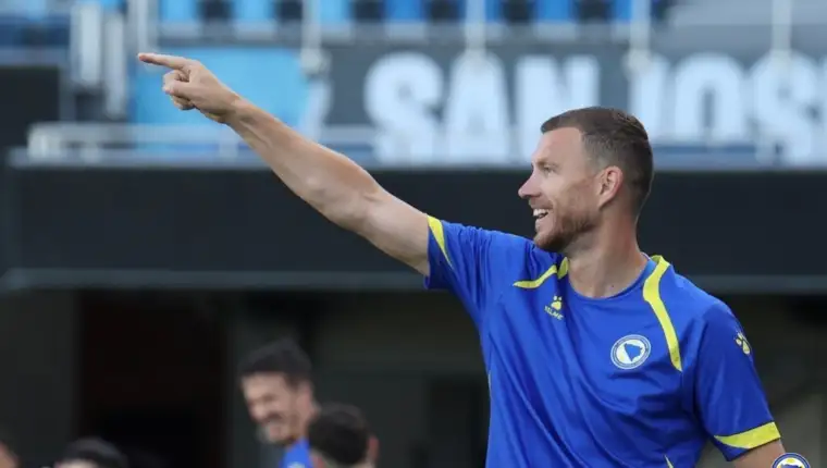 Dzeko nfsbih