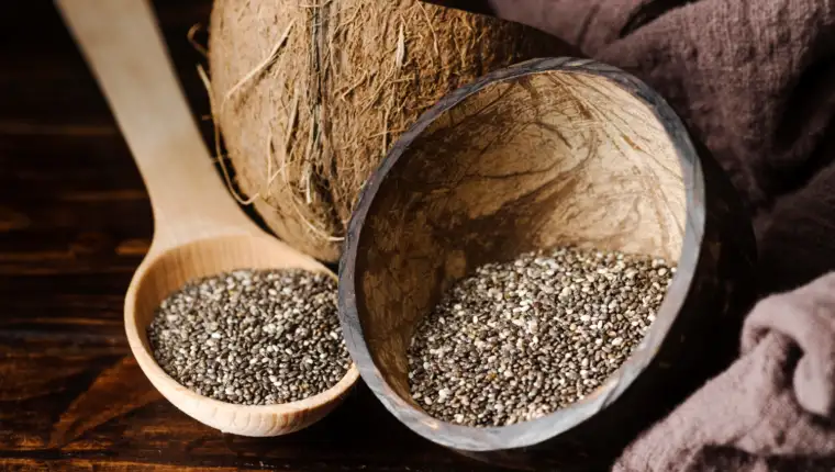 chia freepik