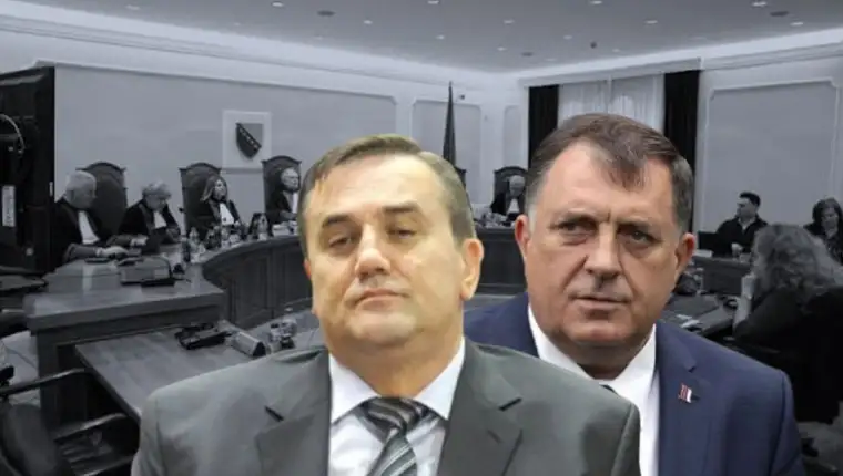 Radisic ustavni