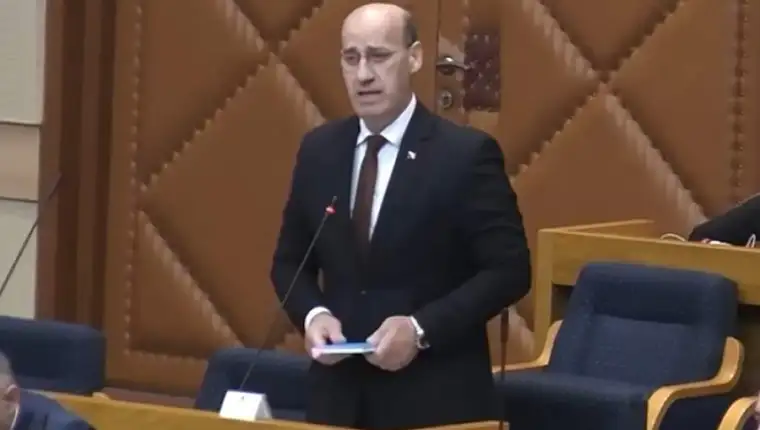 Salkic 1