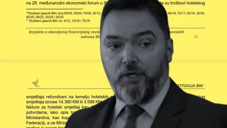 Kosarac revizija