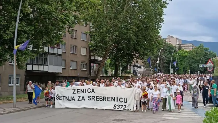Zenica srebrenica fena