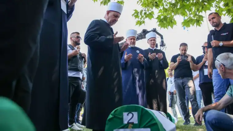 Reis srebrenica fena