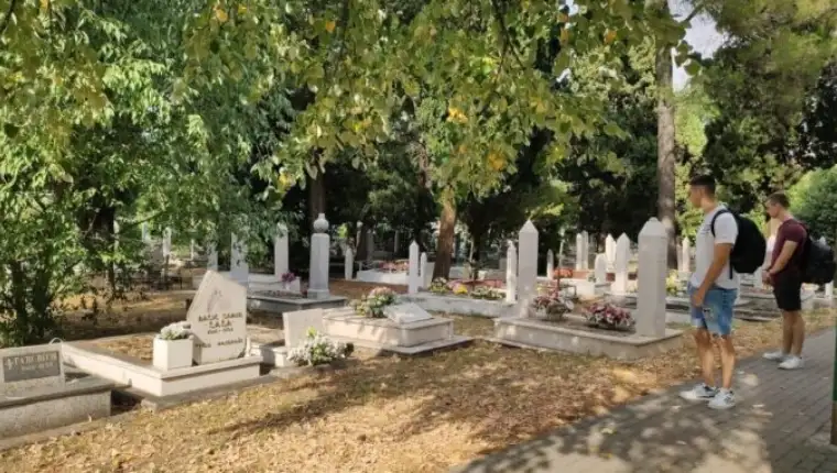 Liska harem hercegovina24