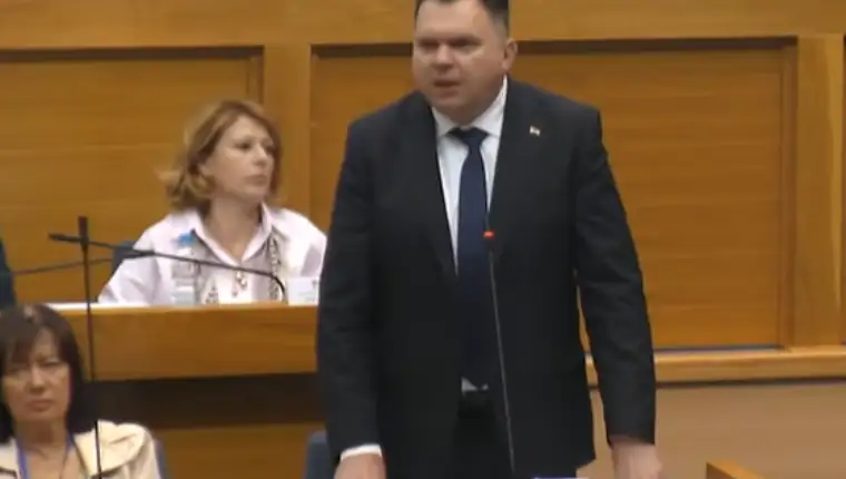 Budimir 1
