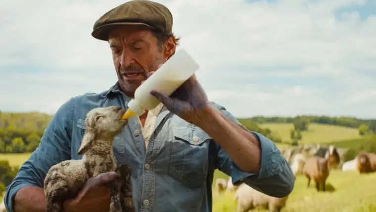 The Sheep Detectives