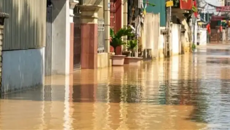Poplave 45