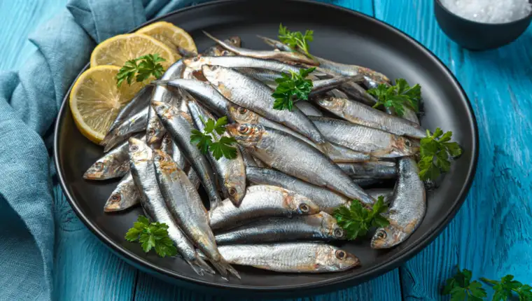 Sardine freepik
