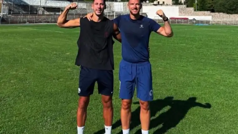 Dzeko katic