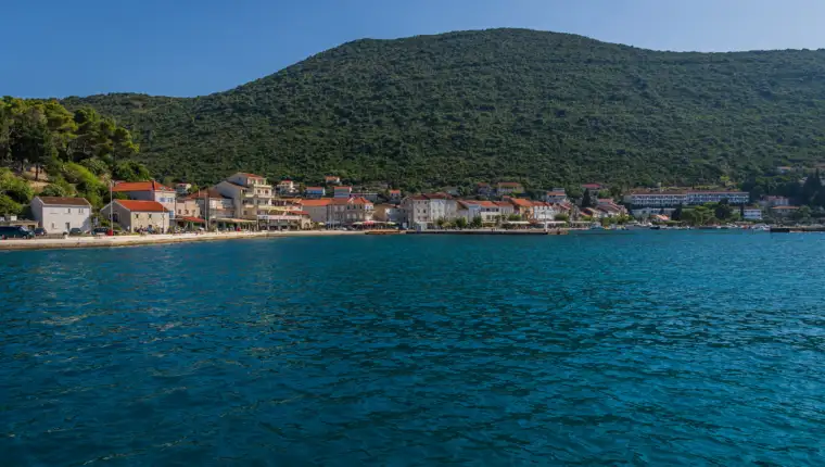 More trpanj