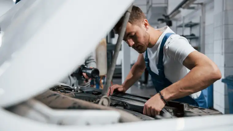 Servis freepik