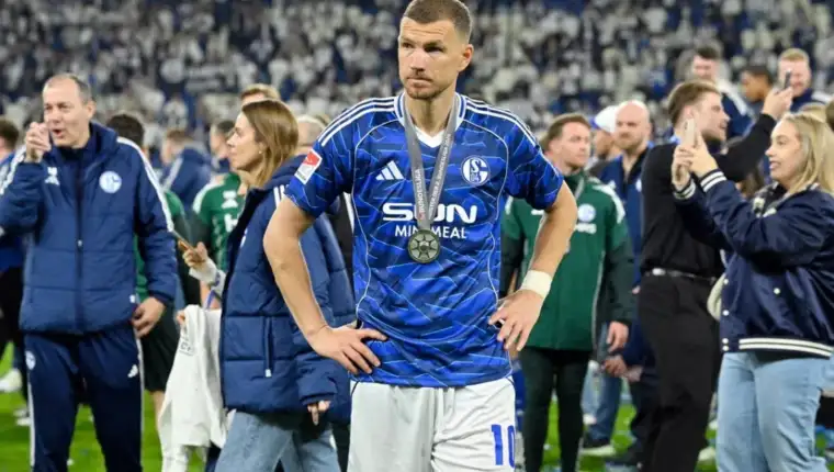 Dzeko schalke tim