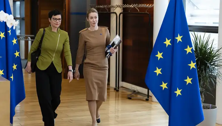 Kos kallas