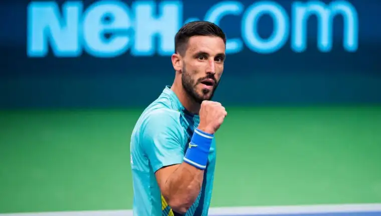 Damir dzumhur