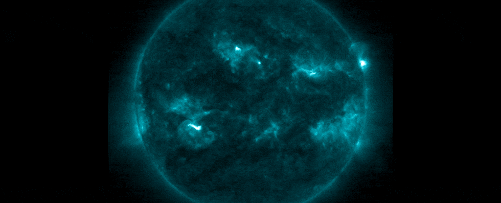 sun-flares
