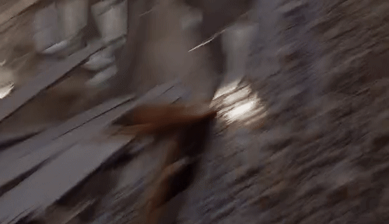 Ambulanta gif
