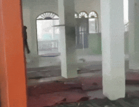 Gif5