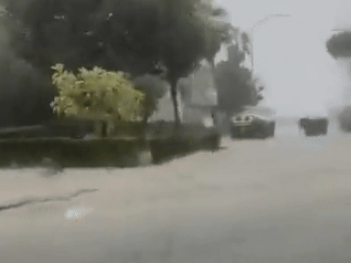Spanija gif