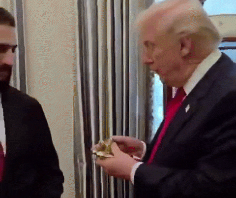 Trump ezgif com optimize