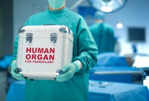 300 ljudi čeka organ ljekar u kuti nosi kutiju s organima za transplantaciju