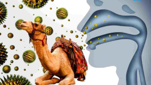 kamilje gripe grafika virus kamila i infkcija dišnih puteva na bijeloj podlozi