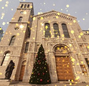 blagdan Božić katedrala sarajevo jelka ispred