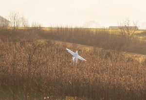 U padu aviona avion pao u polje prijedor