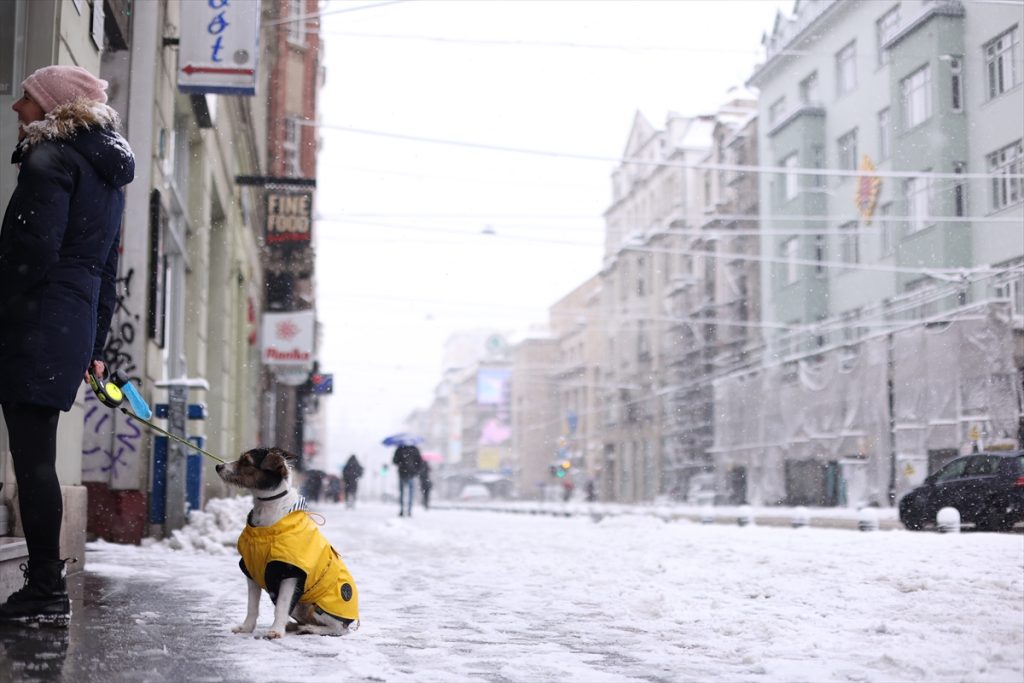 snježna idila u Sarajev žena sa psom u žutoj jakni snijeg po cesti dan