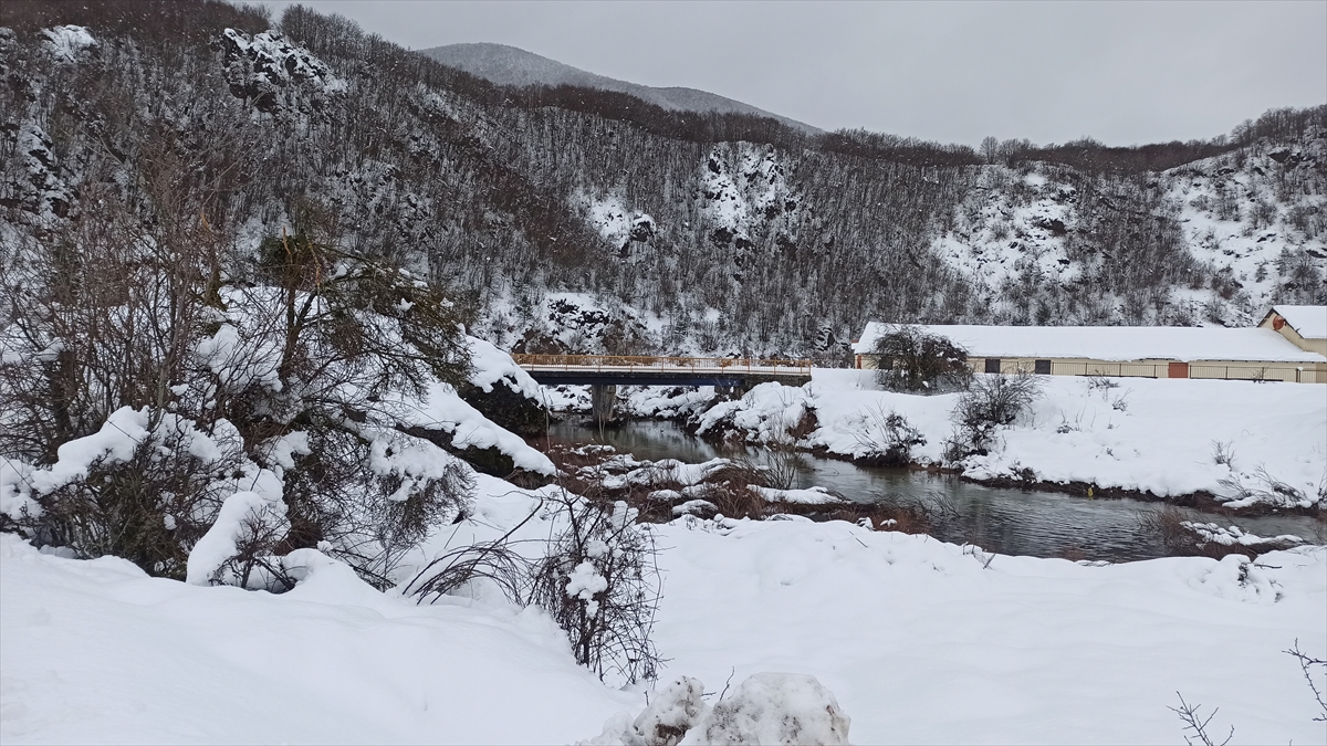 Snijeg stvara probleme službama u istočnoj Hercegovini. Sela oko Gacka već dva dana imaju problem sa putnom komunikacijom