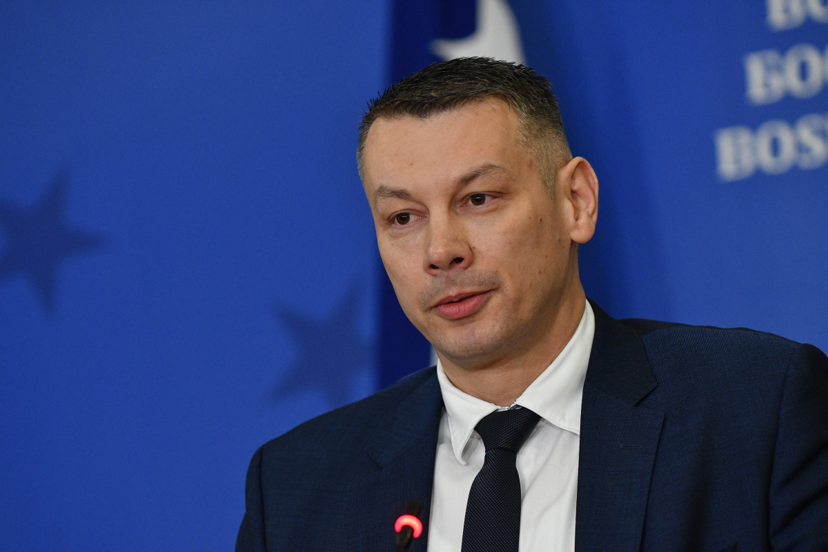 Nenad Nešić, Ministarstvo sigurnosti BiH