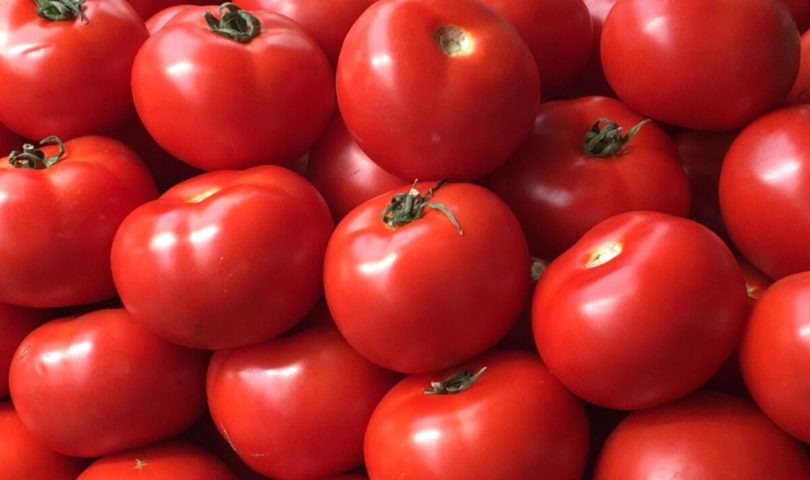 U potrazi za paradajzom često ćemo se jako razočarati, posebno ako ga tražimo u supermarketu gdje nas dočekuje paradajz koji nema okus, zašto